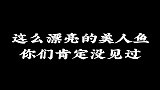 这么漂亮的美人鱼你们肯定没见过