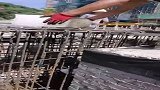 农民工的降温方式，简单粗暴，但是治标不治本啊
