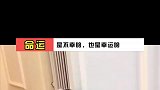 它只是一只小猫咪啊，为什么让它受这般罪