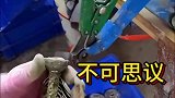 这东西有什么用途，不可思议