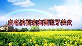 张伦硕夫妻相处合集：当老婆面撩西班牙美女，钟丽缇瞬间醋意浓浓