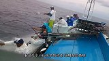 大型渔船捕鱼，渔网却突然拉不动，下水一看都不敢动了