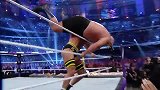 WWE-15年-摔角狂热最经典必杀欣赏-专题