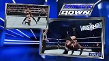 WWE-15年-SD第807期：女郎赛福克斯被佩奇锁技压制叫声撕心裂肺-花絮