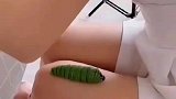 这玩具毛毛虫还挺吓人