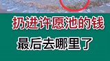 扔进许愿池里的钱，最后都去了哪里？