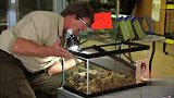 玩具蛇恶作剧，衣服里突然钻出一条蛇，路人被吓惨了