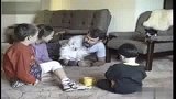 家庭滑稽录像：原来鹦鹉和狗是天敌