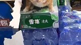猫：走开点，别打扰我盘货！