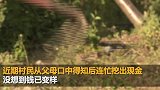 安徽一户村民将200万现金埋地下5年 发霉损失近四分之一