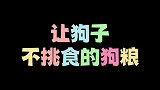 狗狗挑食不爱吃粮，这三款粮哪个狗狗能拒绝呢