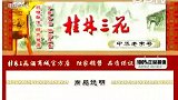 国内旅游-20120221-梦幻桂林行