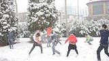 论北京大雪后什么运动最应景儿？网友：打雪仗玩命的那种！