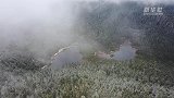 航拍丽江老君山奇景：白雪入山林 云雾藏杜鹃