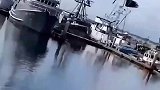 鸟儿空中俯视冲向水里捕食，但是没想到水这么浅啊