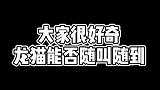 我家的小火锅出息了！