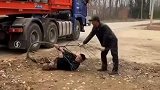 拉发电机大扇叶真的受苦，一番操作又少赔一颗树钱