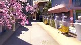 叶罗丽：王默跟随着花瓣，却看见世界的真相，结果却呆愣住！