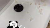 我都有点不敢相信，水龙头里竟然流出…
