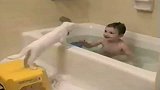 [搞笑]男孩邀请小猫洗澡