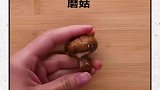 蘑菇皮做的钱包你用过吗