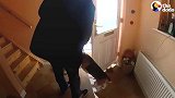 妈妈怀孕时，狗狗就每天陪着娃，宝宝出生，狗狗就像见到亲人一样
