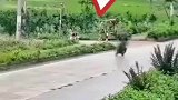 命都受威胁了还扶车
