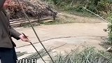 教室里安全感满满的座位，这是如何抢到的