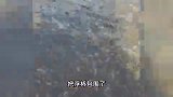 男子海边偶遇“螃蟹大军”，密密麻麻数万只包围浮桥：一捞一大网