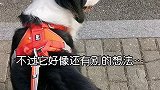 说实话，你去那地方就离谱