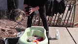 救助来的金毛每天以泪洗面，小伙忍痛割爱，为爱犬开启寻主之路