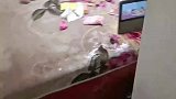 孩子在家抹妈妈的护肤品