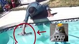 狗子别怕，我来救你啦离我远点
