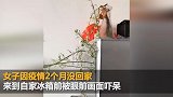 女子2个月不在家回来看到冰箱愣住 打开后更是不得了