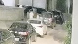 浙江金华：小伙拉车门盗窃，竟因女朋友太多花销太大？