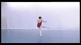 健美健身-芭蕾舞蹈基本功教学 (22)-专题