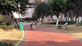 求各位大神支招！！