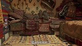 在这个城市，猫咪可以在任何一家店生活，比如这家卖地毯的