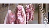 青城山的猪，都有一个被做成腊肉的梦