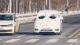 大雪过后的显眼包，能不能再懒一点？