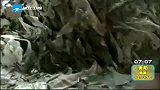 新闻直通车-20120417-山东沂水也发现不法制胶厂