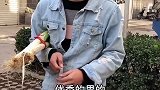 为什么很多女人面临事业与爱情抉择时，会选择事业，听听冬哥怎么说