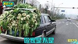 老司机的后备箱能放什么奇葩物品这真是万物皆可塞