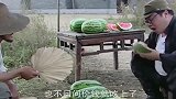 也不问问价钱就吃上了