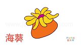 动物简笔画大全，画胖胖的海葵简笔画