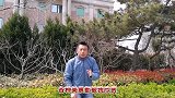 搞笑说唱：青岛是美丽的城市，吸引小伙编关于青岛的段子搞点儿乐