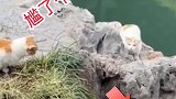 这结局真是万万没想到啊