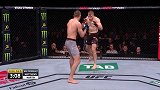 UFC格斗之夜第142期主赛（英文解说）