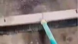 汽修师傅打扫卫生时发现