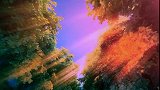 爱不逢时爱不逢人所到之处皆是命数
